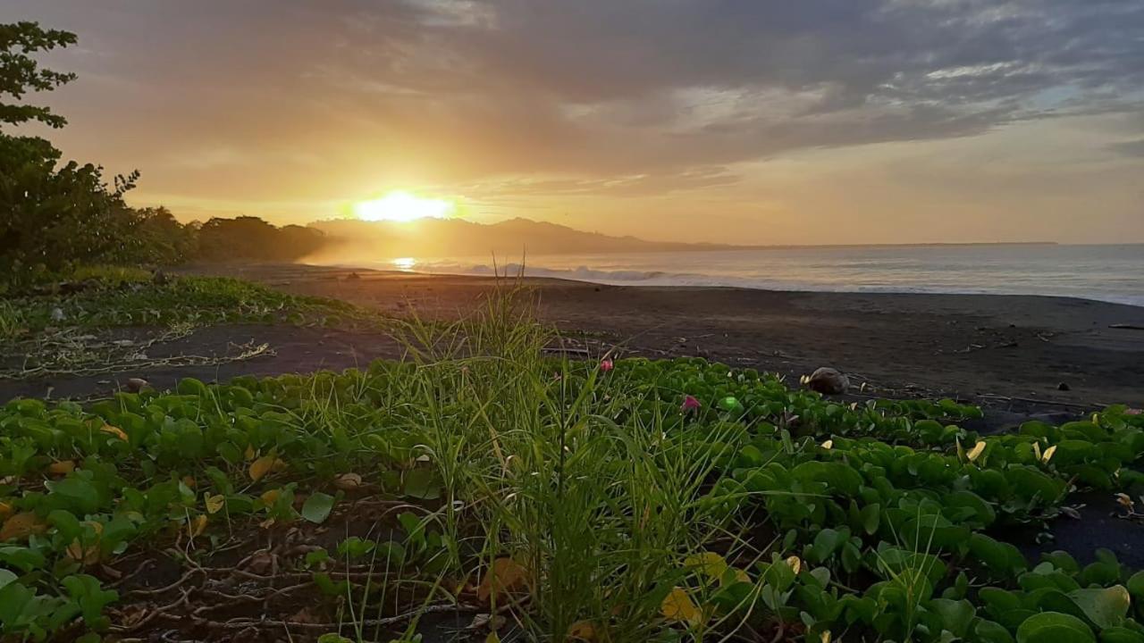 Hotel One Love Puerto Viejo Puerto Viejo de Talamanca Экстерьер фото